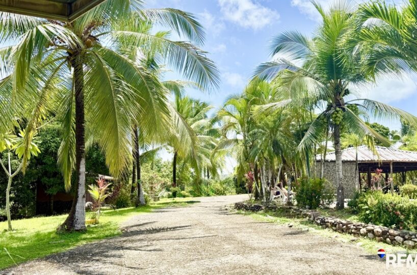 Homes for sale in Parrita Costa Rica