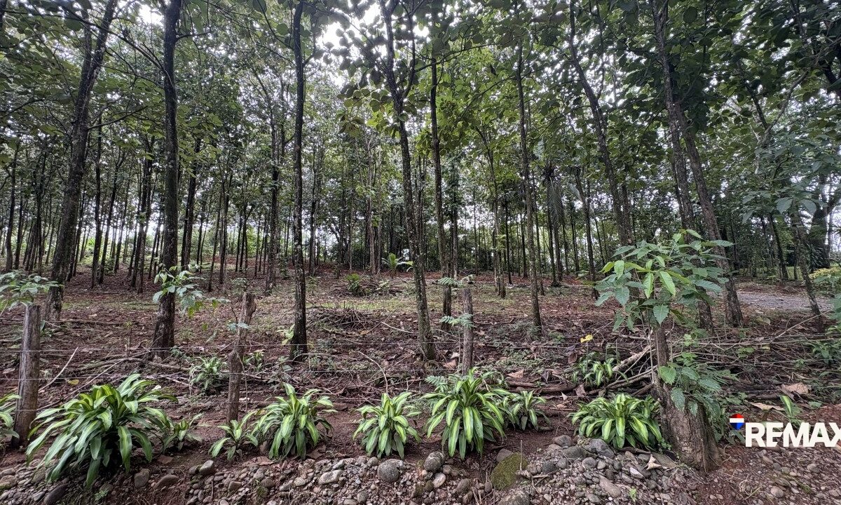 Development LandFarms and Ranches for sale in Parrita Costa Rica