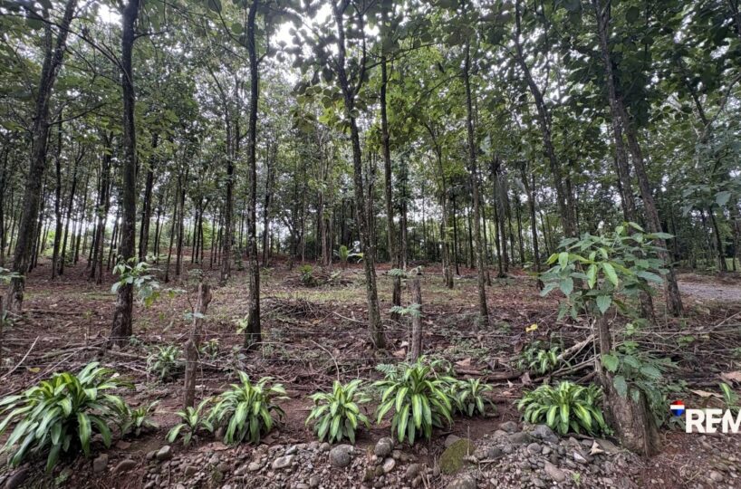 Development LandFarms and Ranches for sale in Parrita Costa Rica