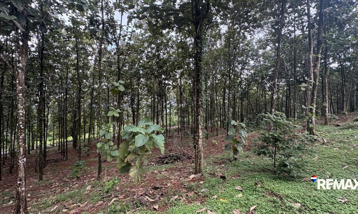 Development LandFarms and Ranches for sale in Parrita Costa Rica
