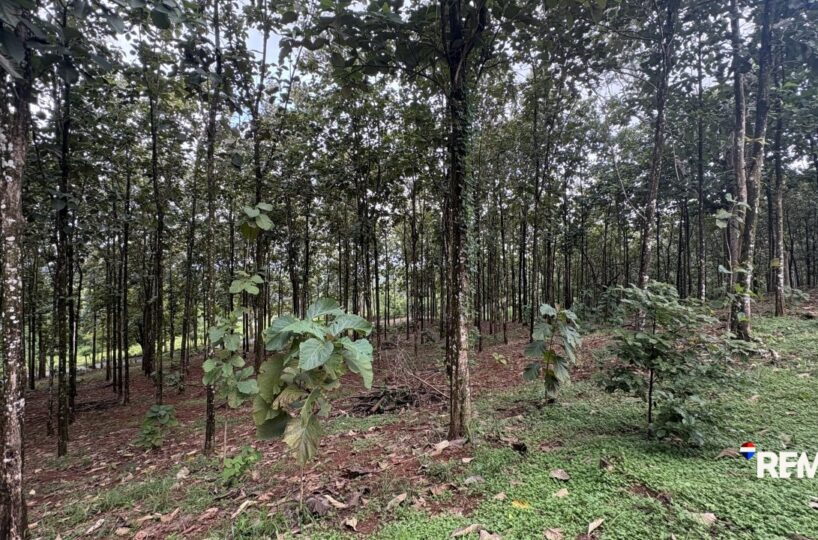 Development LandFarms and Ranches for sale in Parrita Costa Rica