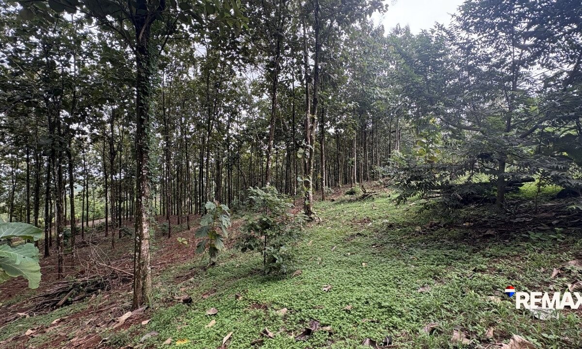 Development LandFarms and Ranches for sale in Parrita Costa Rica