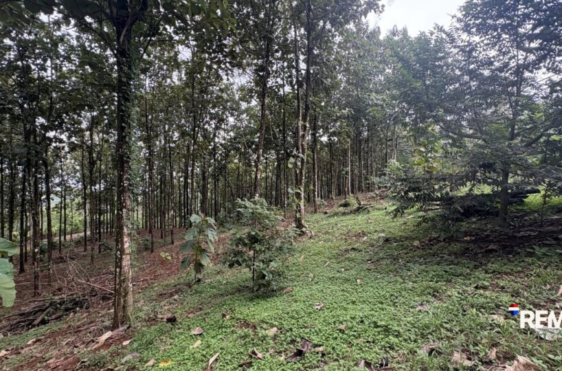 Development LandFarms and Ranches for sale in Parrita Costa Rica