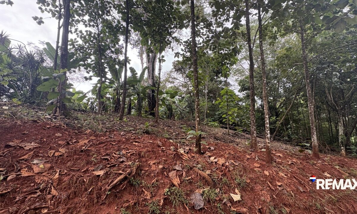 Development LandFarms and Ranches for sale in Parrita Costa Rica