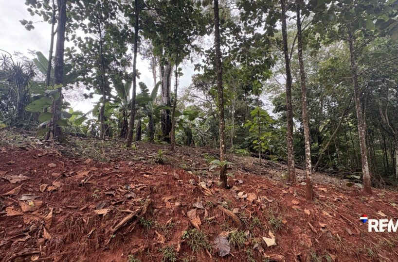 Development LandFarms and Ranches for sale in Parrita Costa Rica