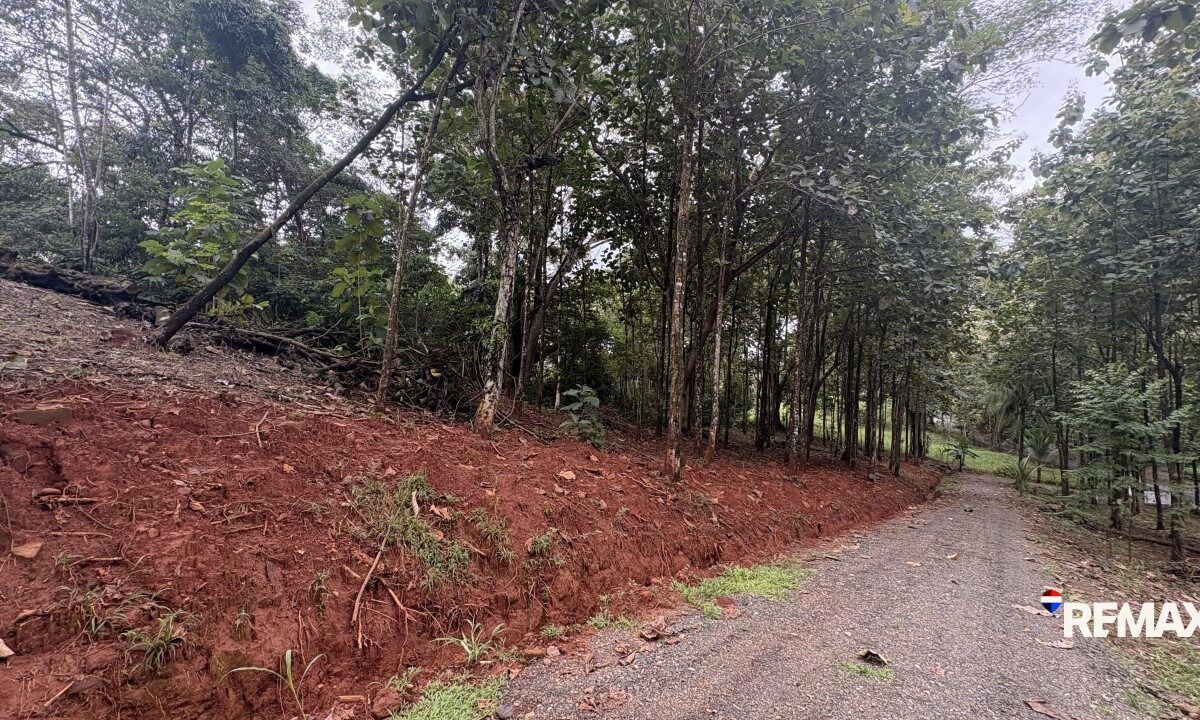 Development LandFarms and Ranches for sale in Parrita Costa Rica