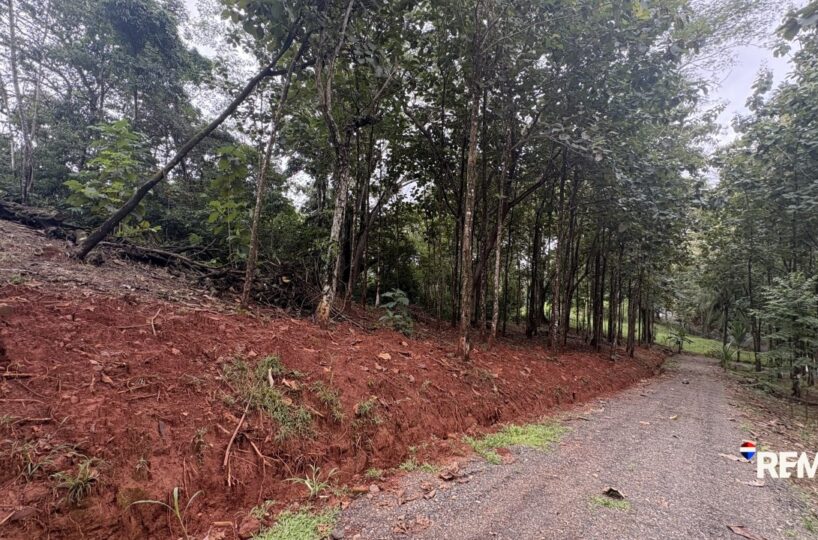 Development LandFarms and Ranches for sale in Parrita Costa Rica