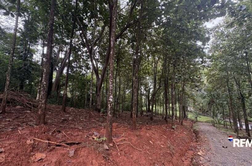 Development LandFarms and Ranches for sale in Parrita Costa Rica