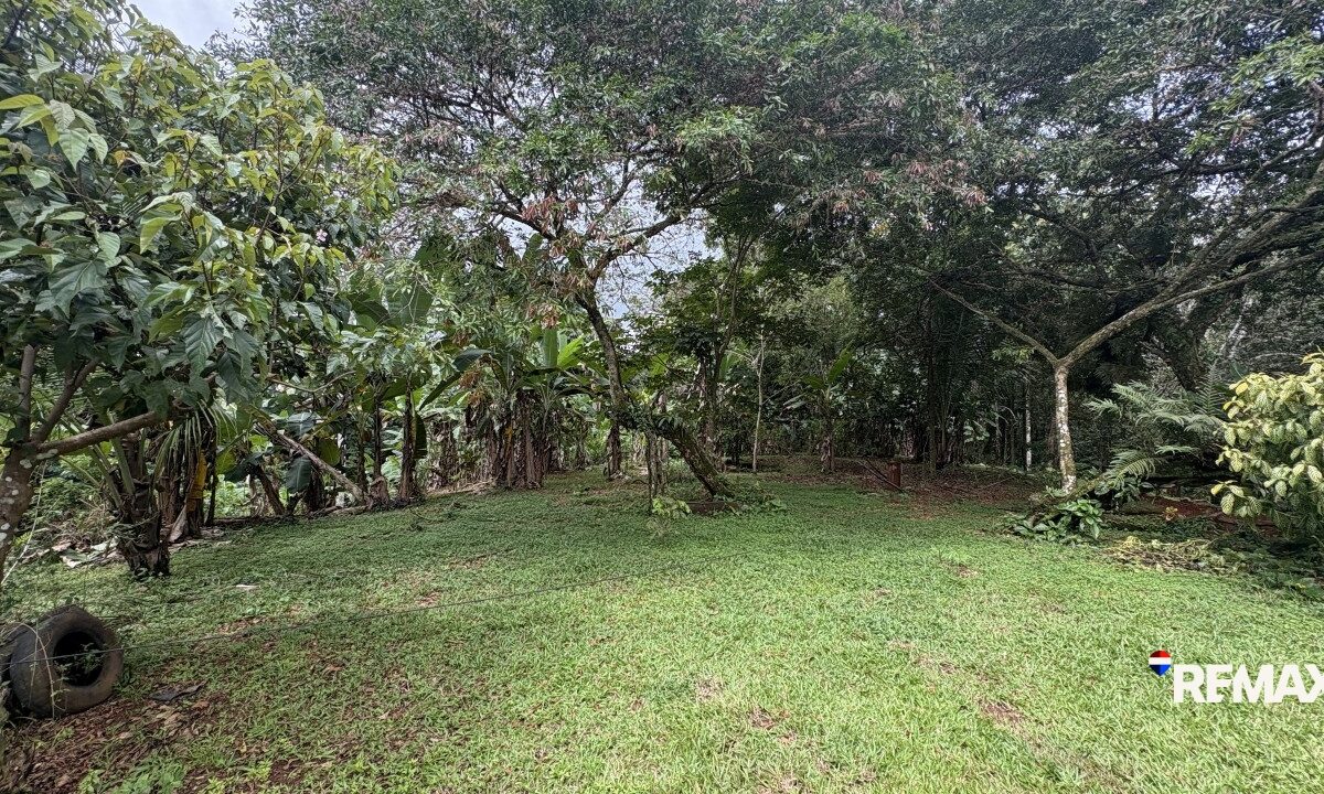 Development LandFarms and Ranches for sale in Parrita Costa Rica