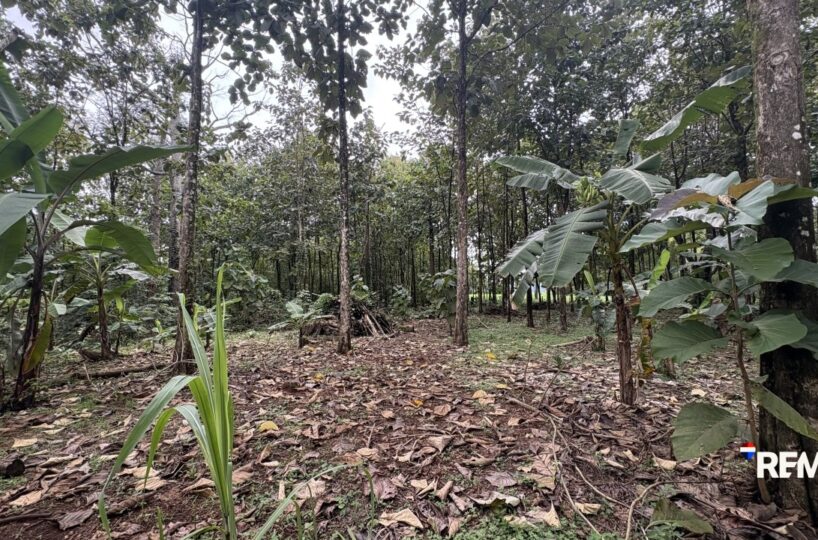 Development LandFarms and Ranches for sale in Parrita Costa Rica