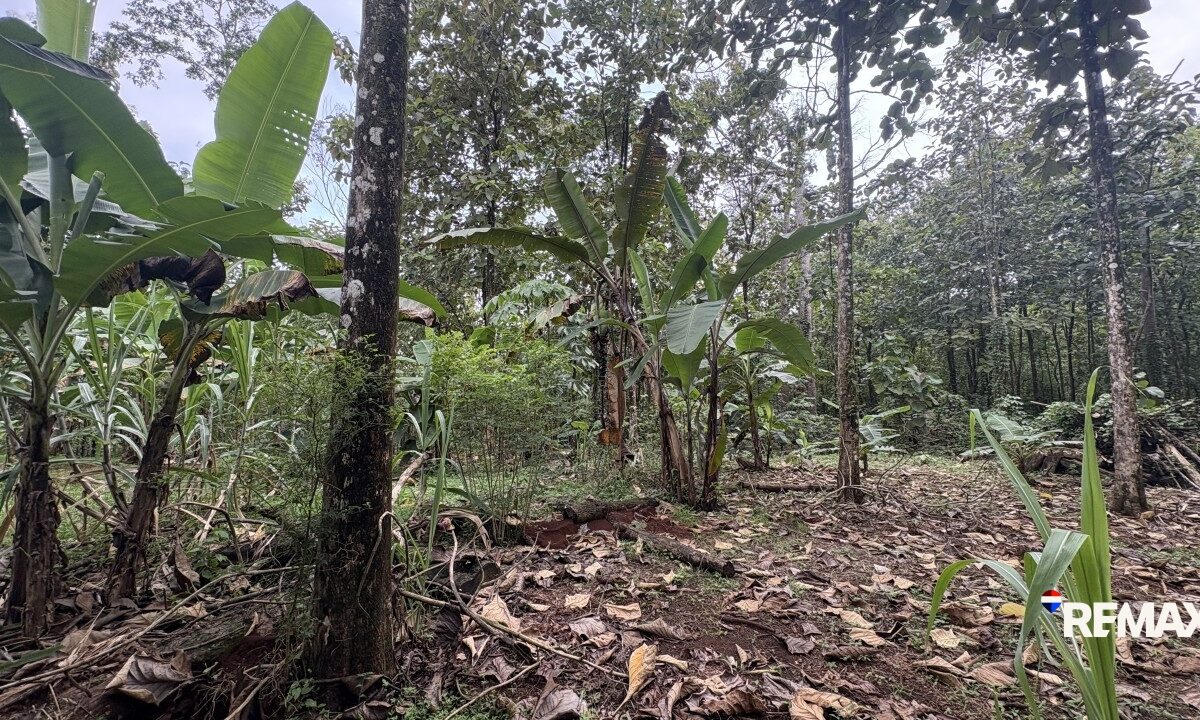 Development LandFarms and Ranches for sale in Parrita Costa Rica