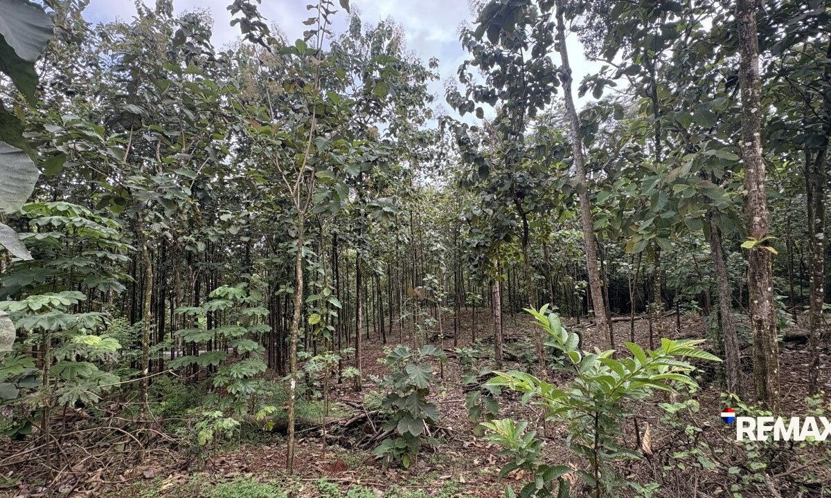 Development LandFarms and Ranches for sale in Parrita Costa Rica