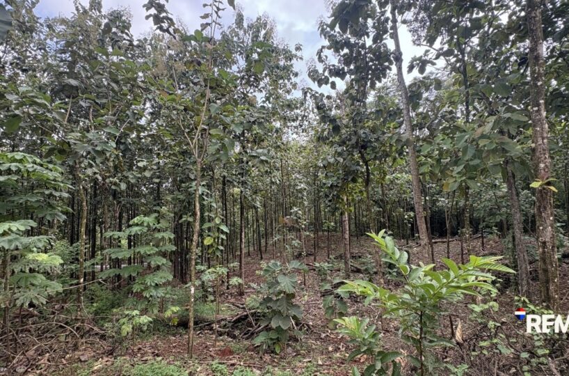 Development LandFarms and Ranches for sale in Parrita Costa Rica