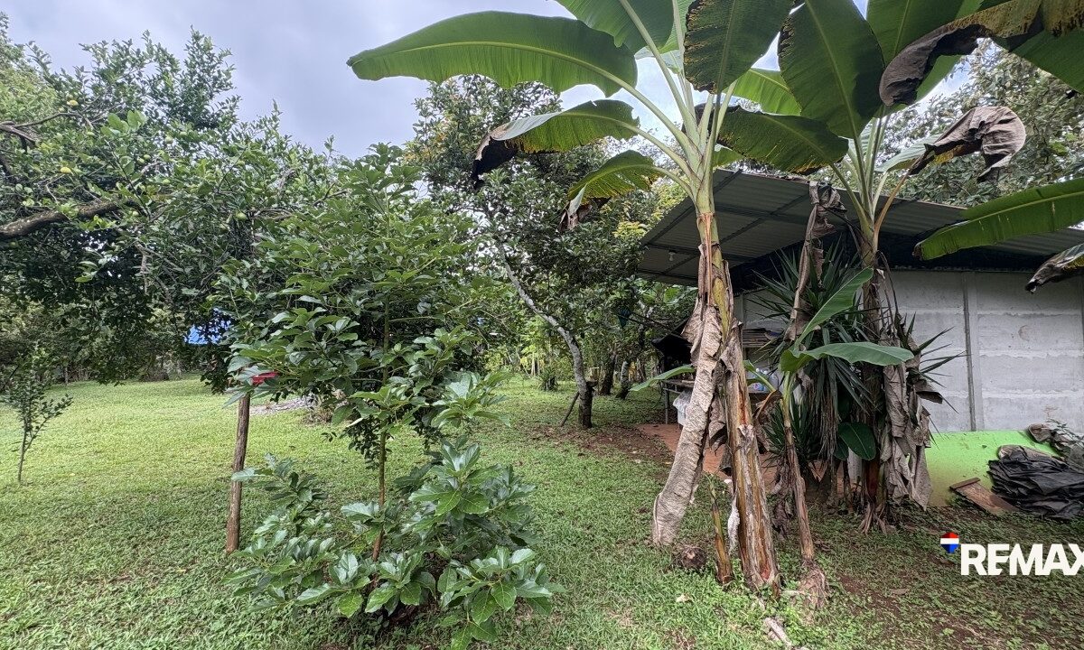 Development LandFarms and Ranches for sale in Parrita Costa Rica
