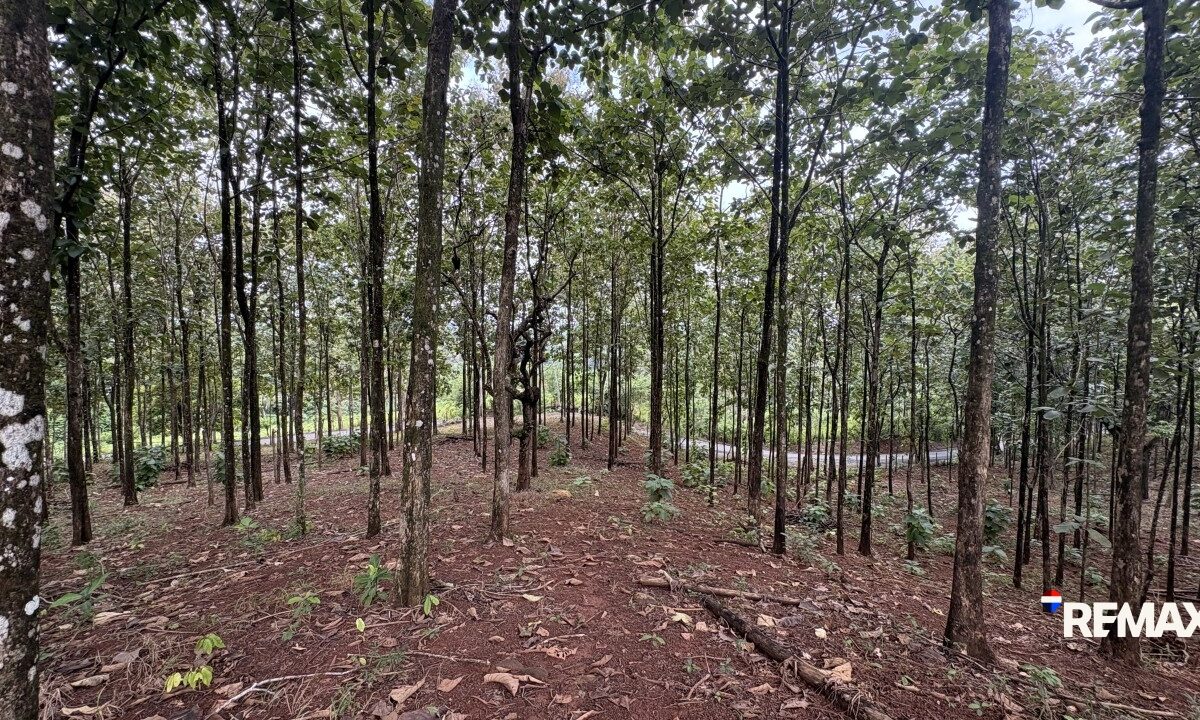 Development LandFarms and Ranches for sale in Parrita Costa Rica