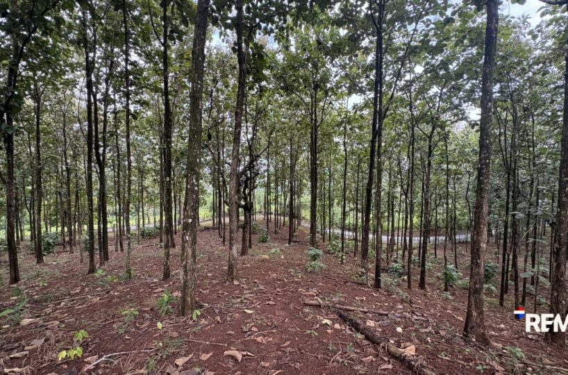 Development LandFarms and Ranches for sale in Parrita Costa Rica