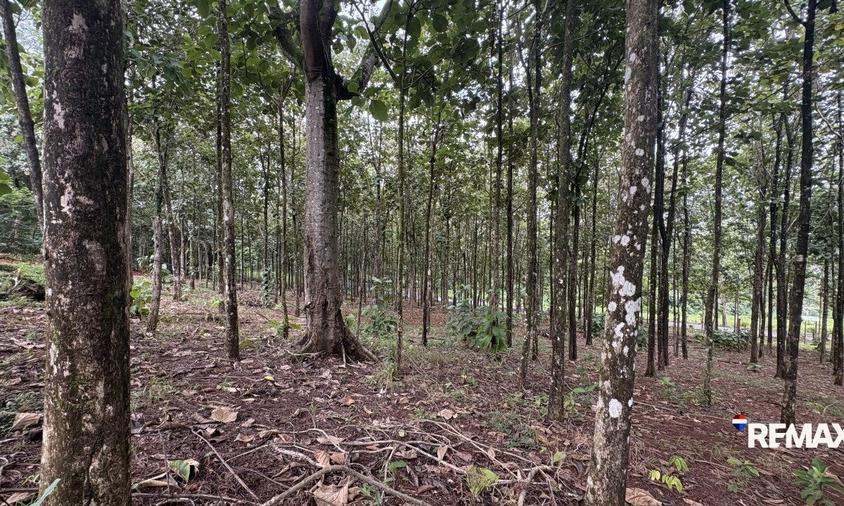 Development LandFarms and Ranches for sale in Parrita Costa Rica