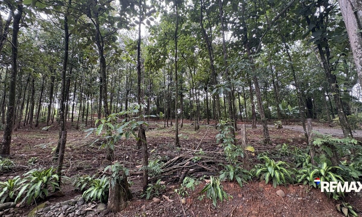 Development LandFarms and Ranches for sale in Parrita Costa Rica