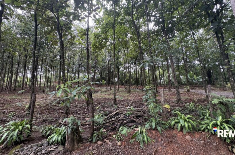 Development LandFarms and Ranches for sale in Parrita Costa Rica