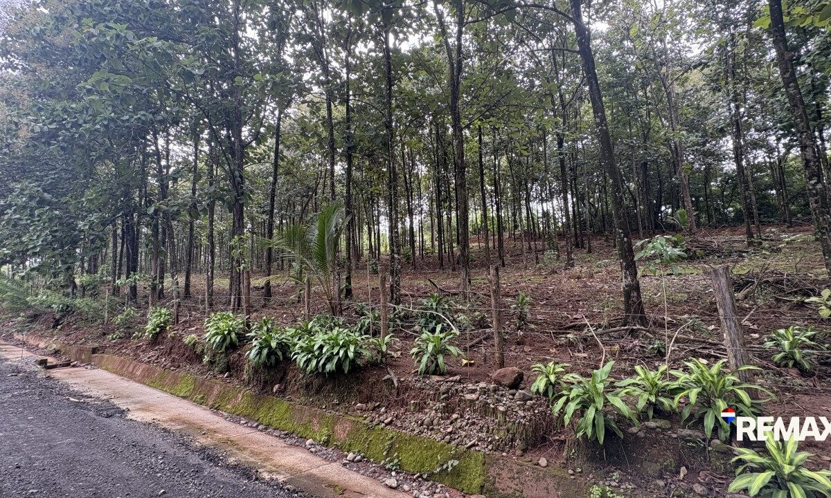 Development LandFarms and Ranches for sale in Parrita Costa Rica