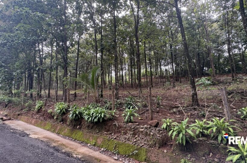 Development LandFarms and Ranches for sale in Parrita Costa Rica