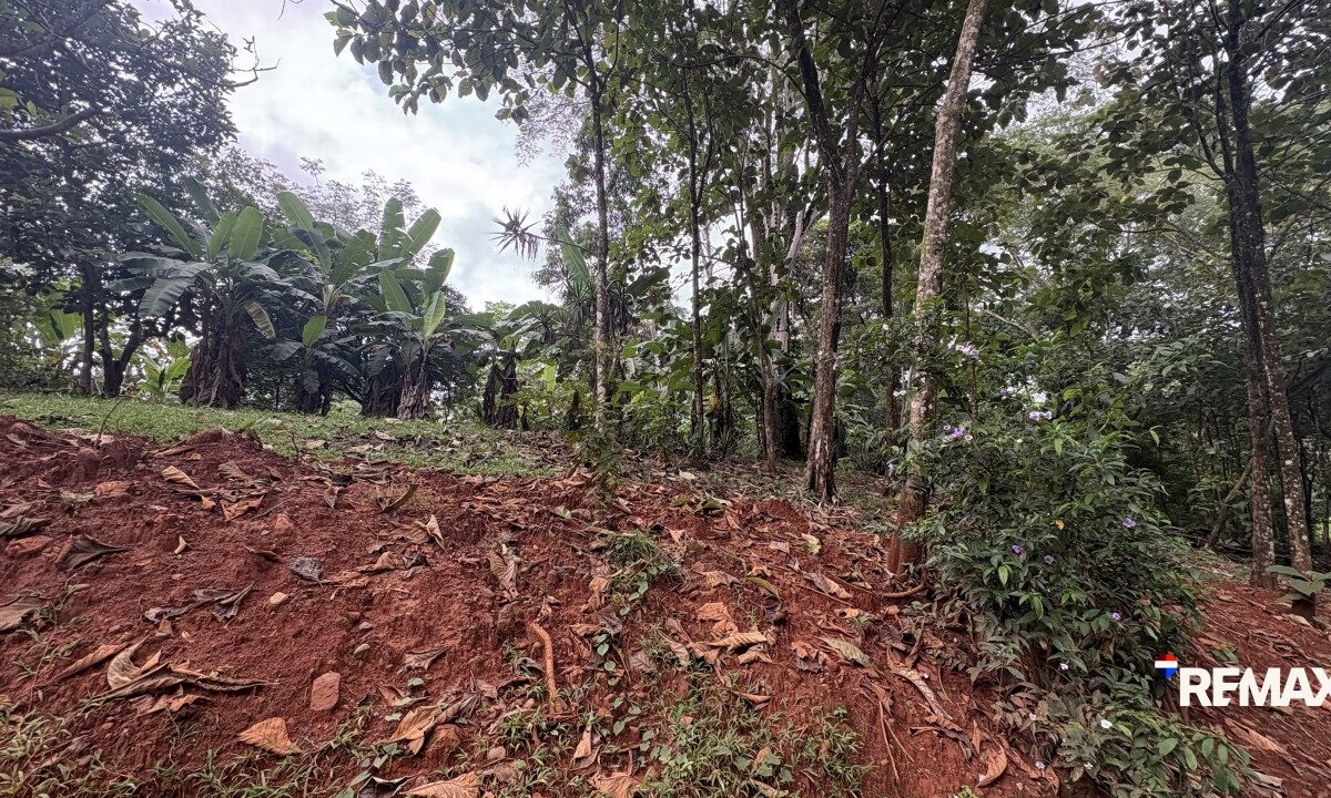Development LandFarms and Ranches for sale in Parrita Costa Rica