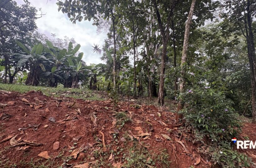 Development LandFarms and Ranches for sale in Parrita Costa Rica