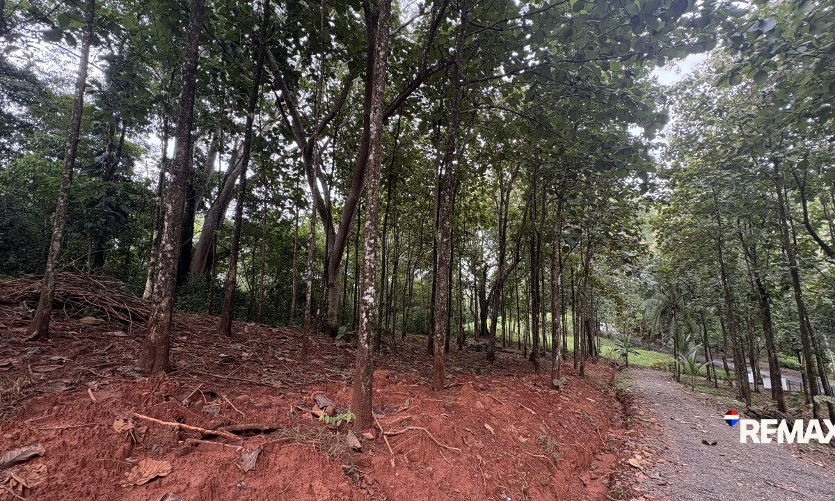 Development LandFarms and Ranches for sale in Parrita Costa Rica