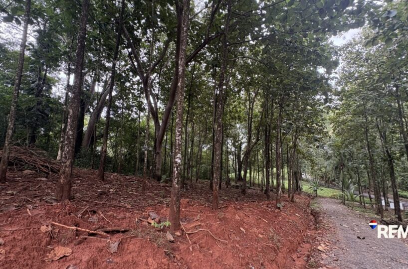 Development LandFarms and Ranches for sale in Parrita Costa Rica