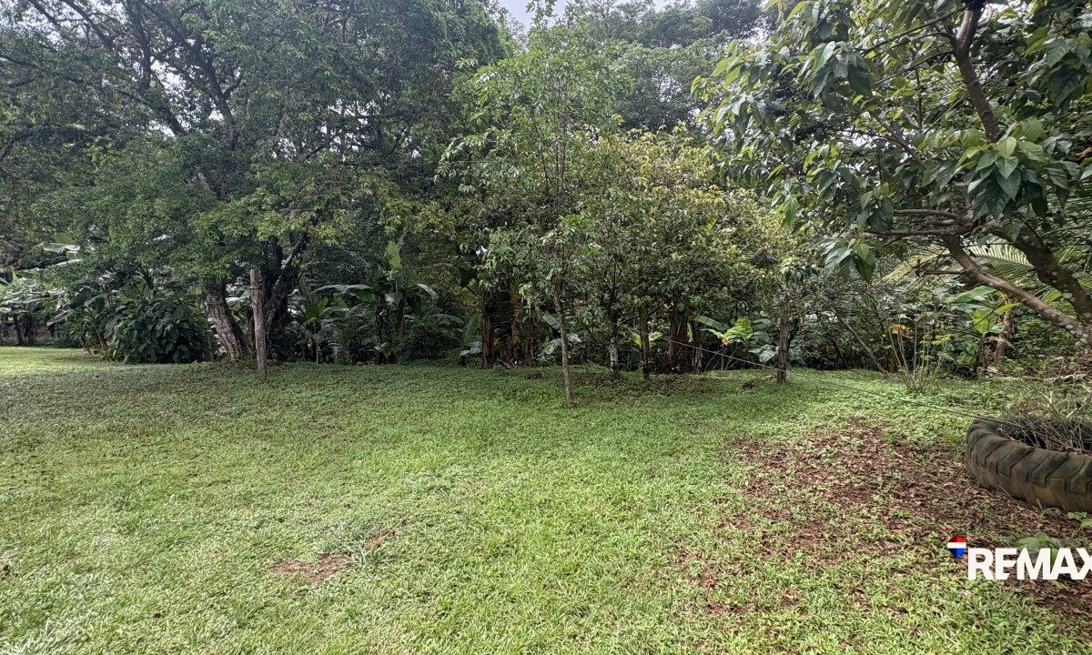 Development LandFarms and Ranches for sale in Parrita Costa Rica