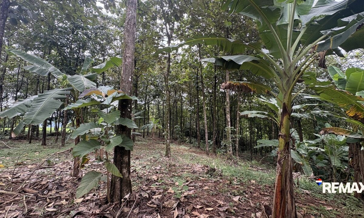 Development LandFarms and Ranches for sale in Parrita Costa Rica