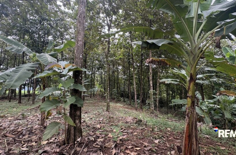 Development LandFarms and Ranches for sale in Parrita Costa Rica