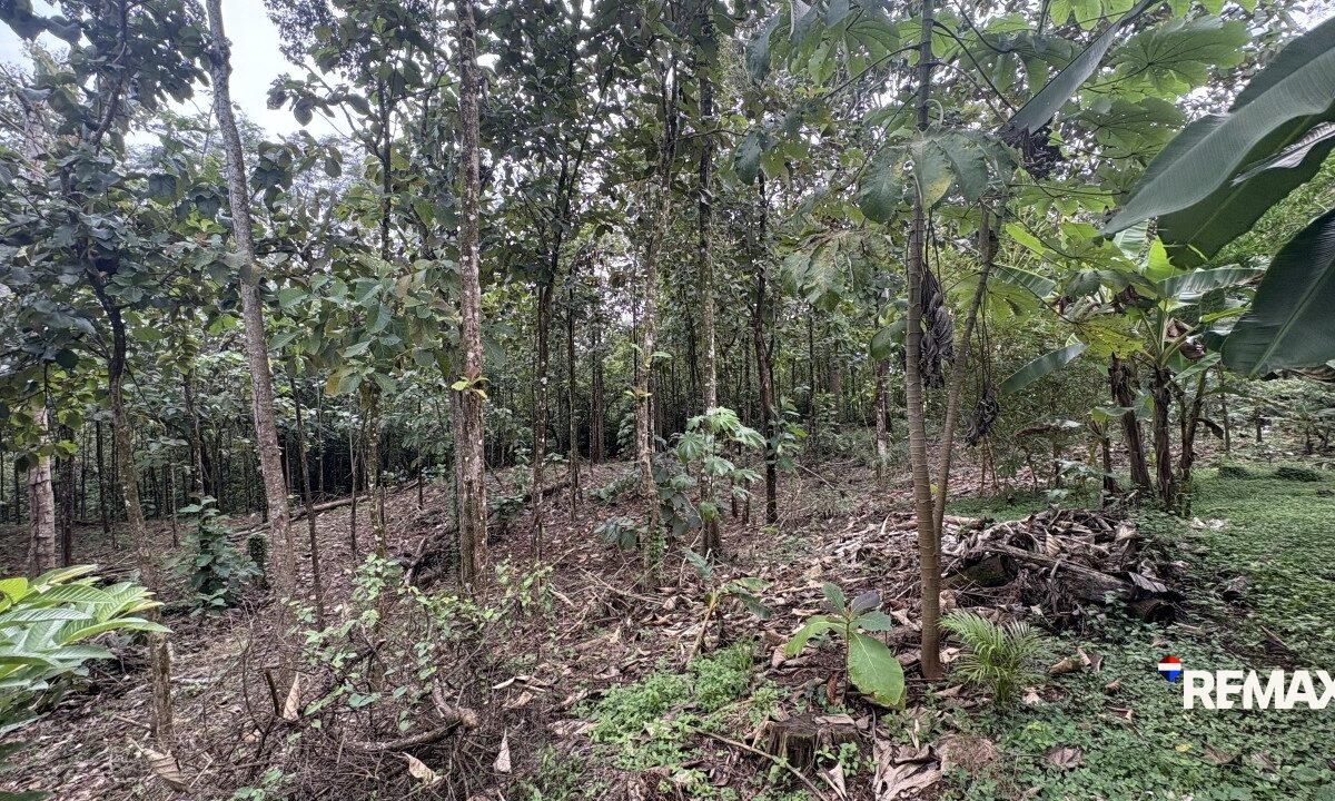 Development LandFarms and Ranches for sale in Parrita Costa Rica