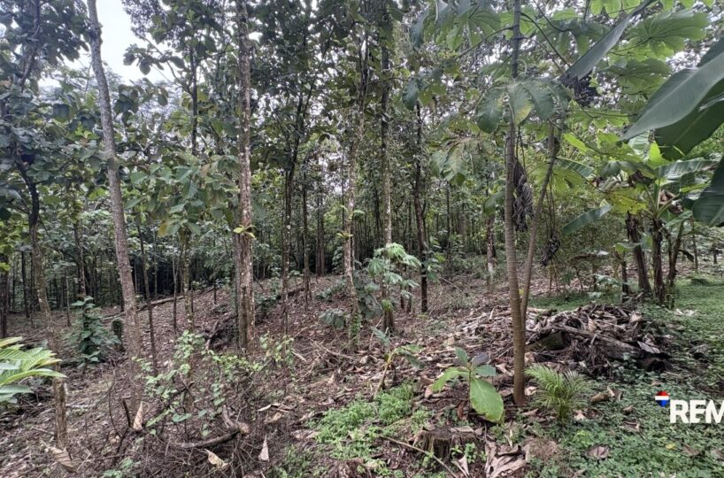 Development LandFarms and Ranches for sale in Parrita Costa Rica