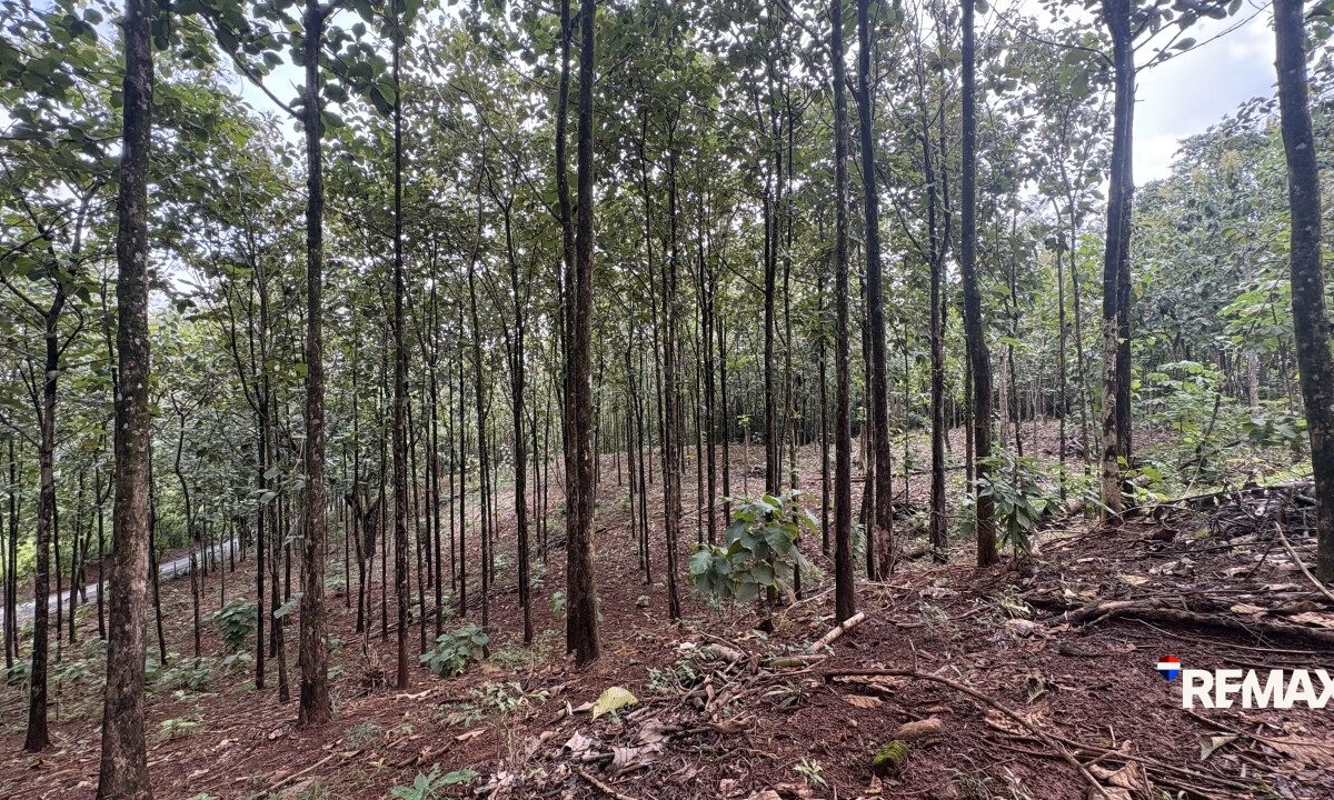 Development LandFarms and Ranches for sale in Parrita Costa Rica