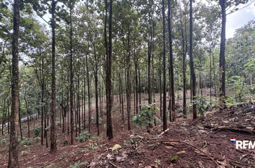 Development LandFarms and Ranches for sale in Parrita Costa Rica