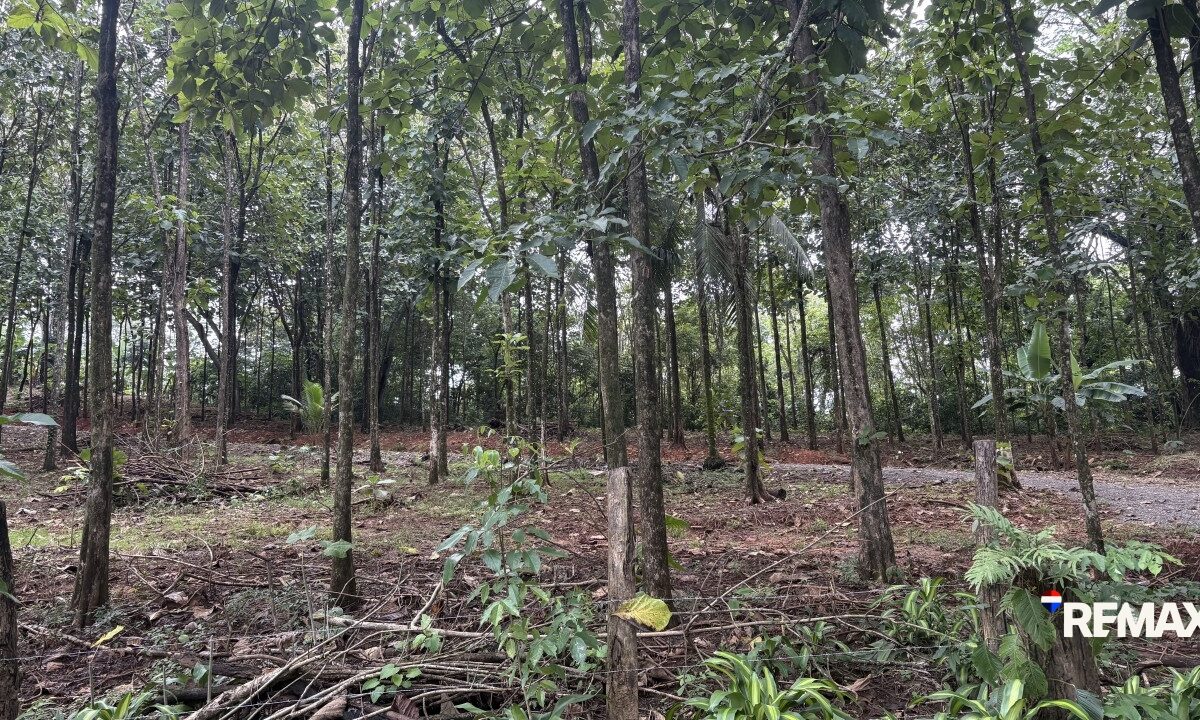 Development LandFarms and Ranches for sale in Parrita Costa Rica
