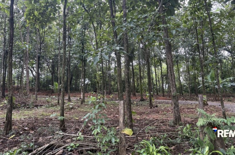 Development LandFarms and Ranches for sale in Parrita Costa Rica
