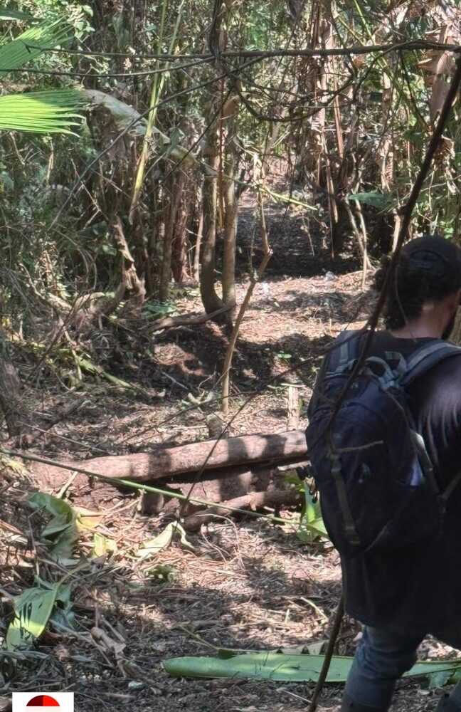 Development Land for sale in Quebrada Ganado Costa Rica