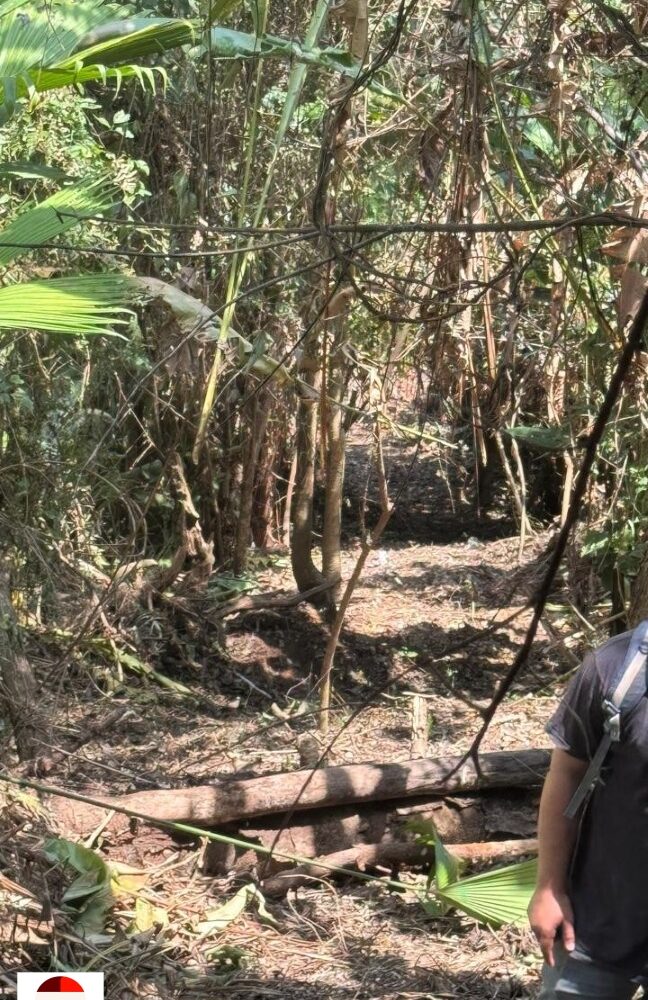 Development Land for sale in Quebrada Ganado Costa Rica