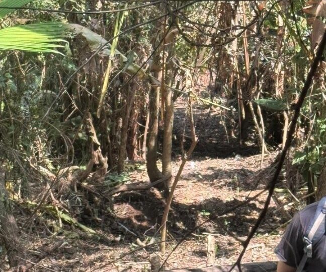 Development Land for sale in Quebrada Ganado Costa Rica