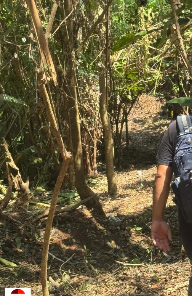 Development Land for sale in Quebrada Ganado Costa Rica