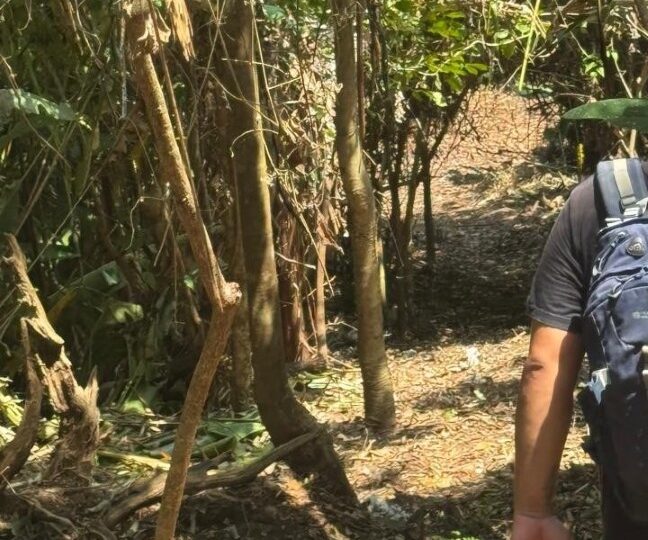 Development Land for sale in Quebrada Ganado Costa Rica