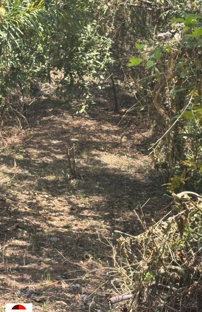 Development Land for sale in Quebrada Ganado Costa Rica