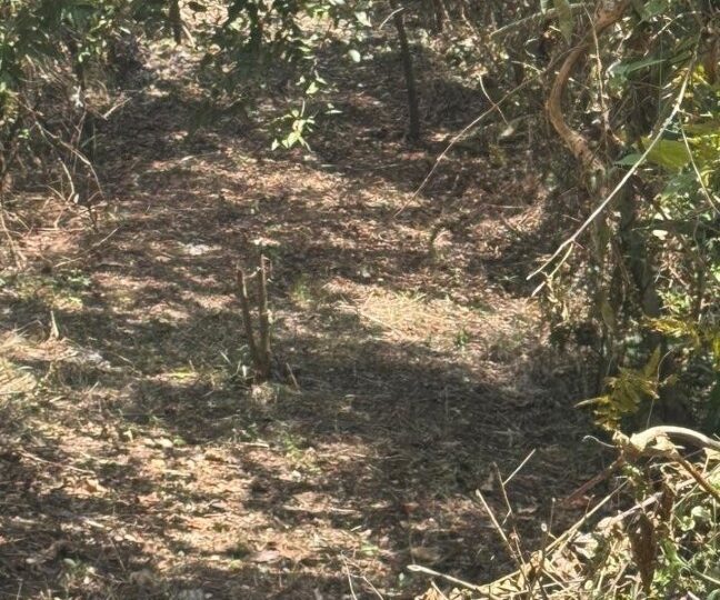 Development Land for sale in Quebrada Ganado Costa Rica