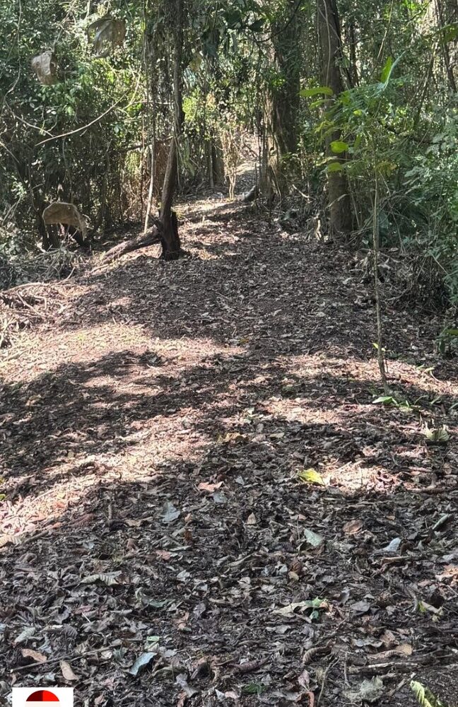 Development Land for sale in Quebrada Ganado Costa Rica