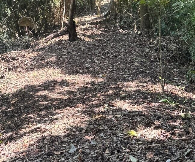 Development Land for sale in Quebrada Ganado Costa Rica