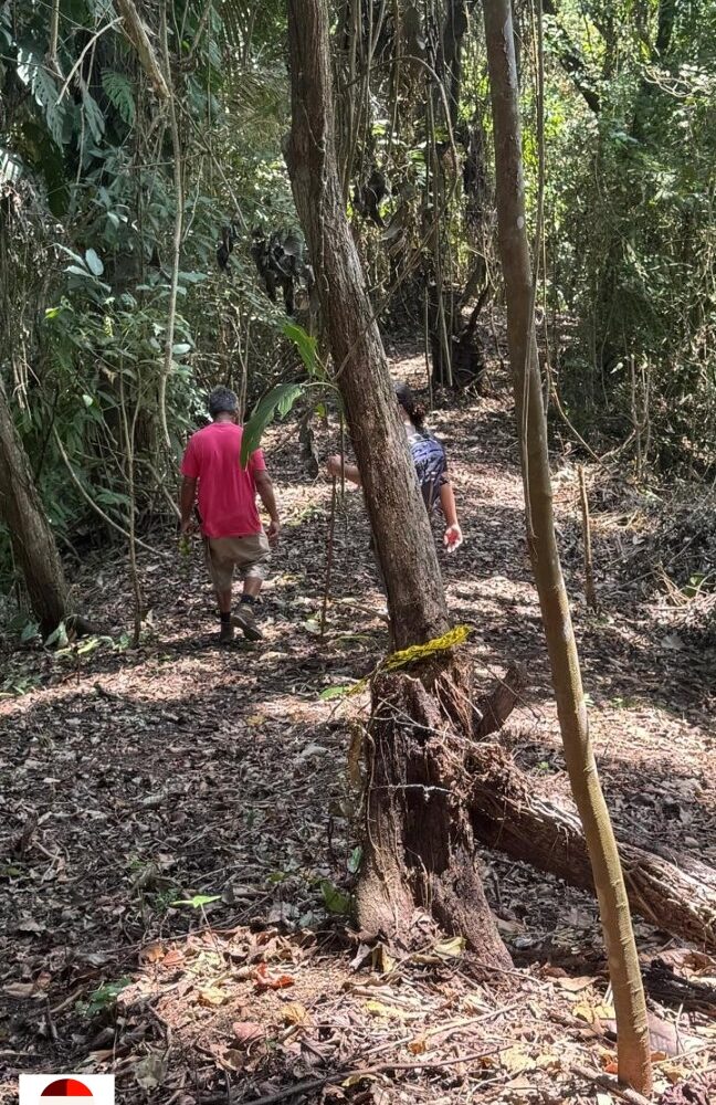 Development Land for sale in Quebrada Ganado Costa Rica