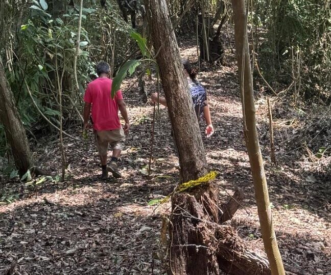 Development Land for sale in Quebrada Ganado Costa Rica