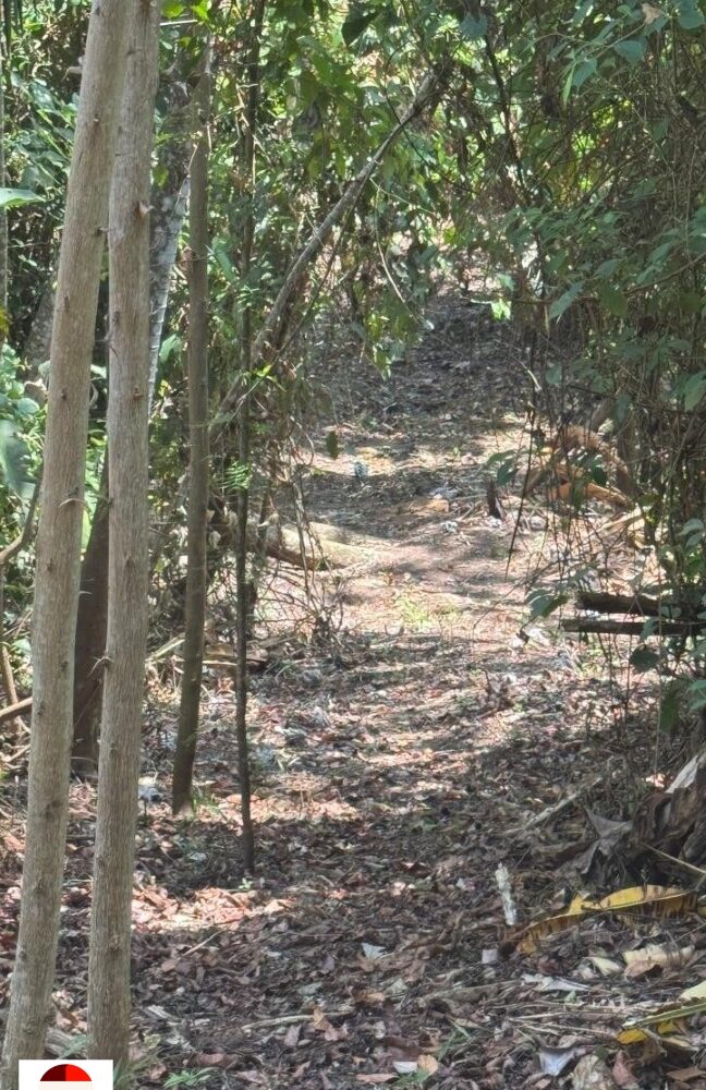 Development Land for sale in Quebrada Ganado Costa Rica